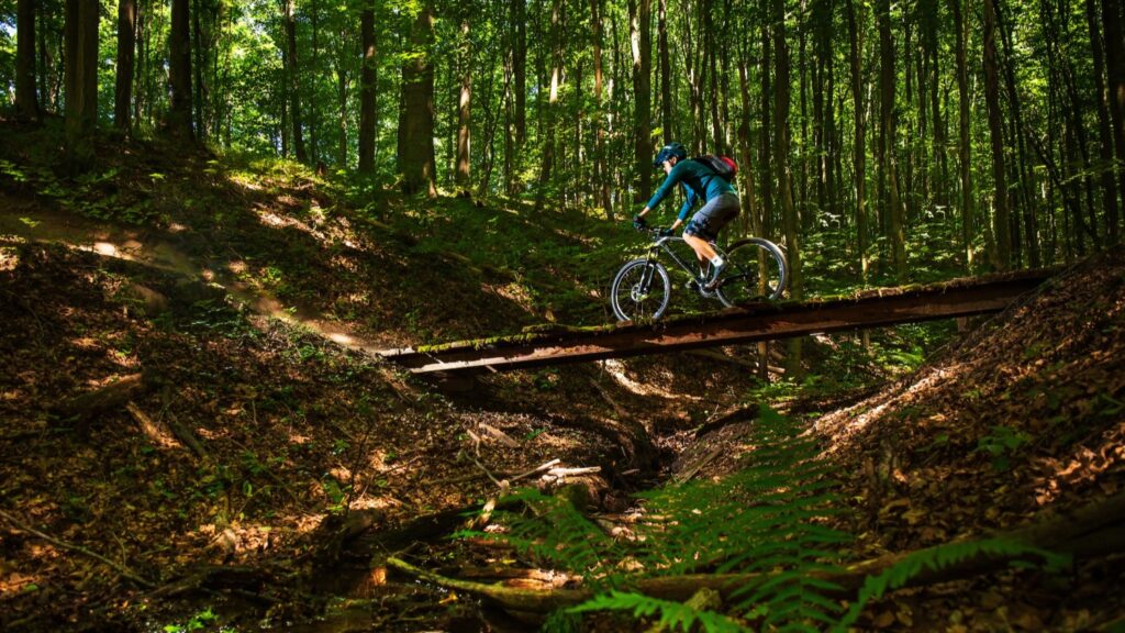 Mountain biker cycling on a bridge in the forest.